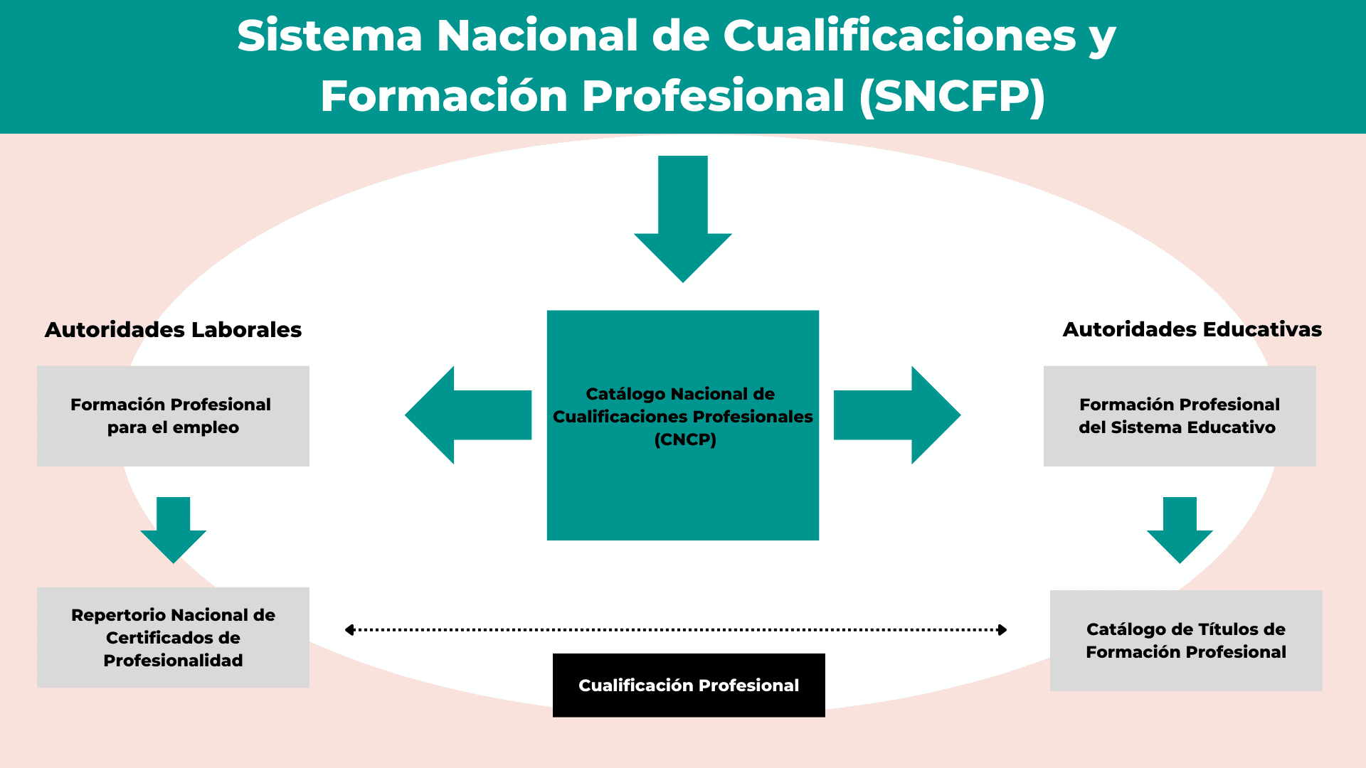 Sistema Nacional de Cualificaciones y Formación Profesional (SNCFP)