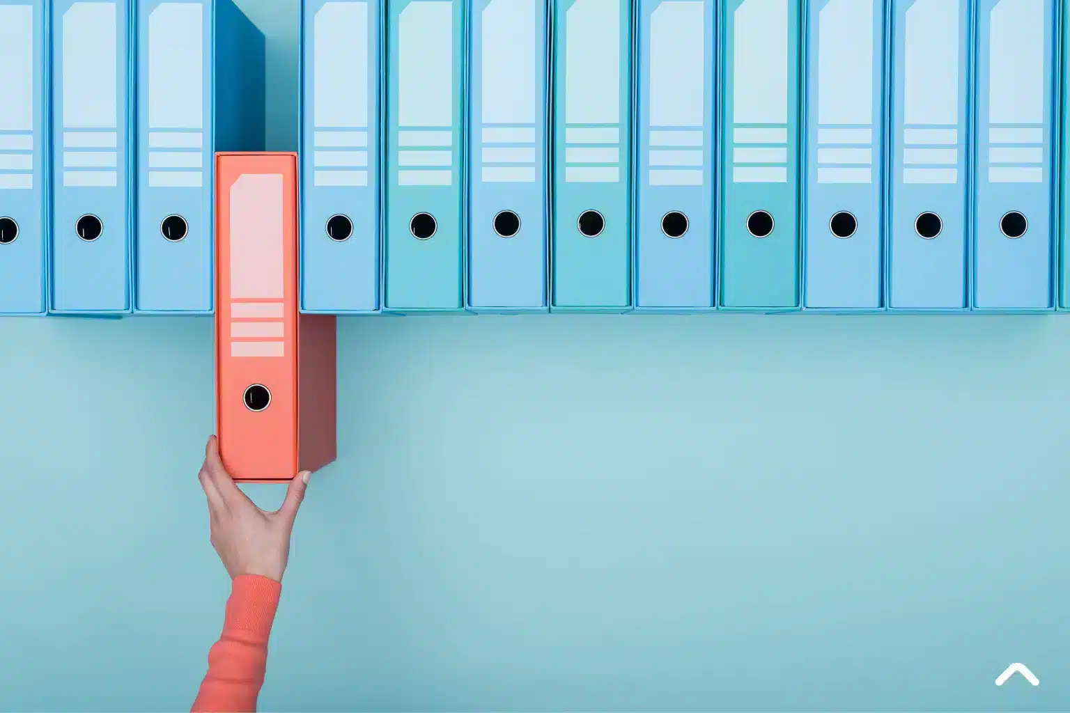 REPRODUCCION-Y-ARCHIVO